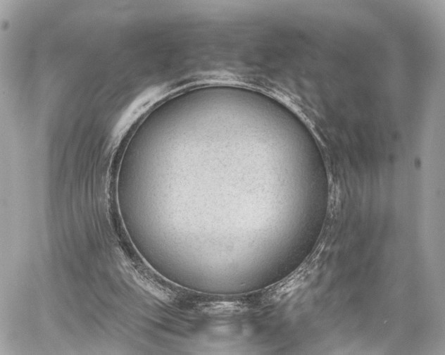 X0000060800151200511141449