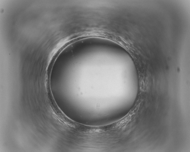 X0000060800152200511141449