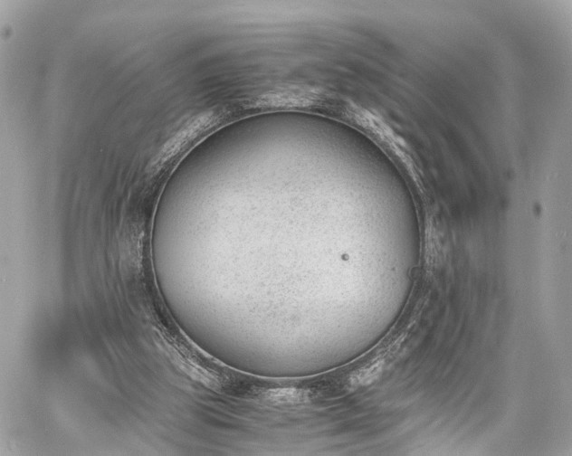 X0000060800153200511141449