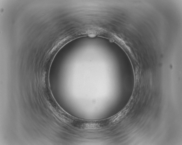 X0000060800154200511141449