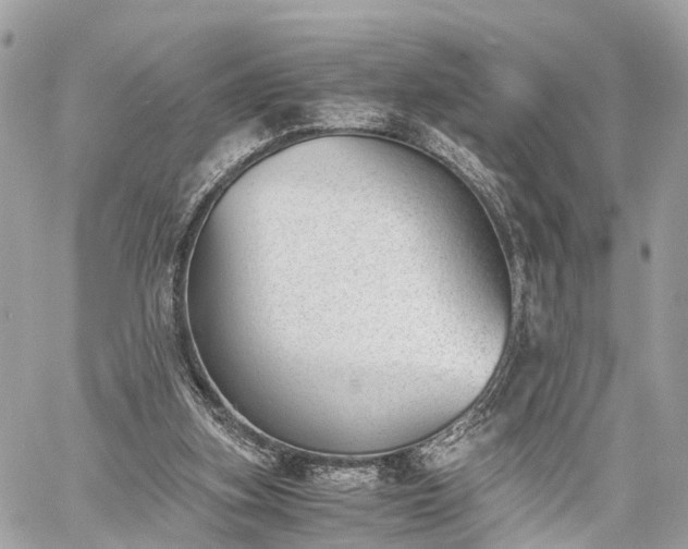 X0000060800155200511141449