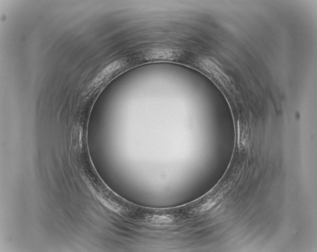 X0000060800157200511141449