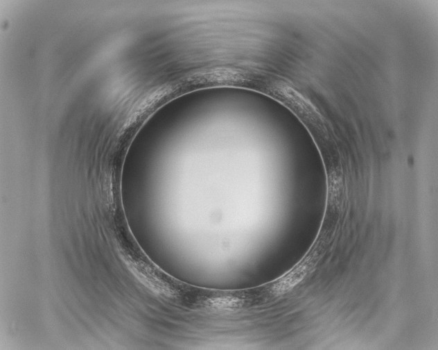 X0000060800158200511141449