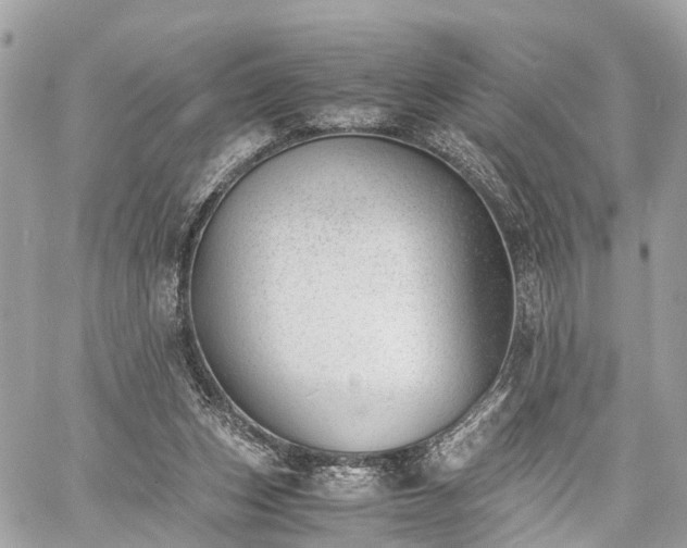 X0000060800159200511141449