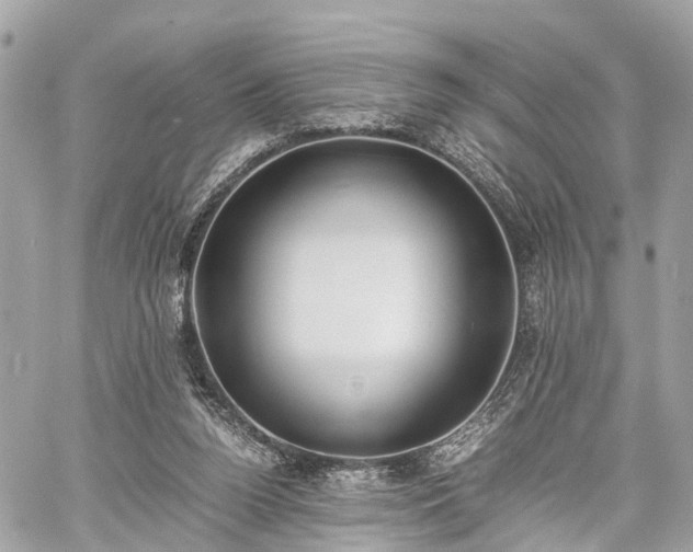 X0000060800160200511141449