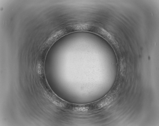 X0000060800161200511141449