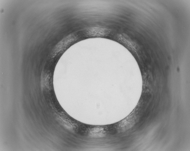 X0000060800162200511141449