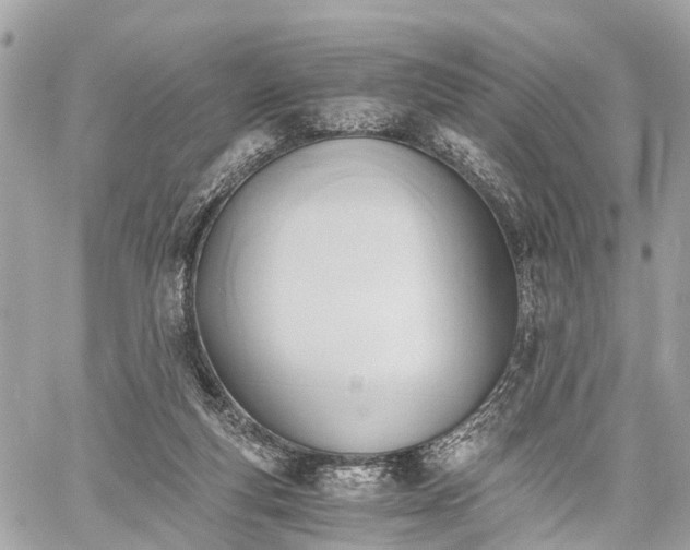 X0000060800163200511141449