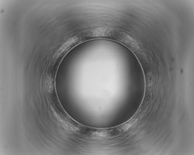 X0000060800164200511141449