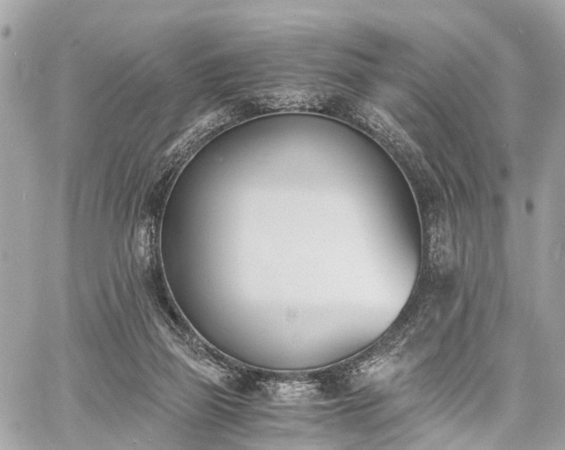 X0000060800165200511141449