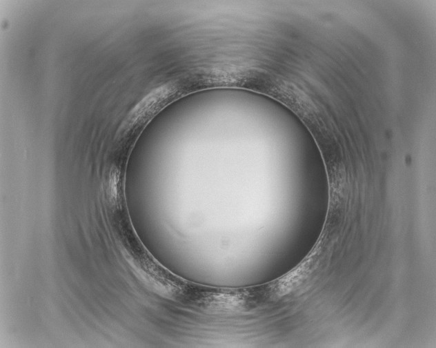 X0000060800166200511141449