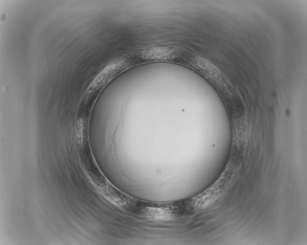 X0000060800167200511141449