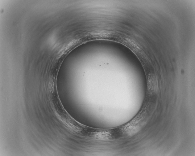 X0000060800168200511141449