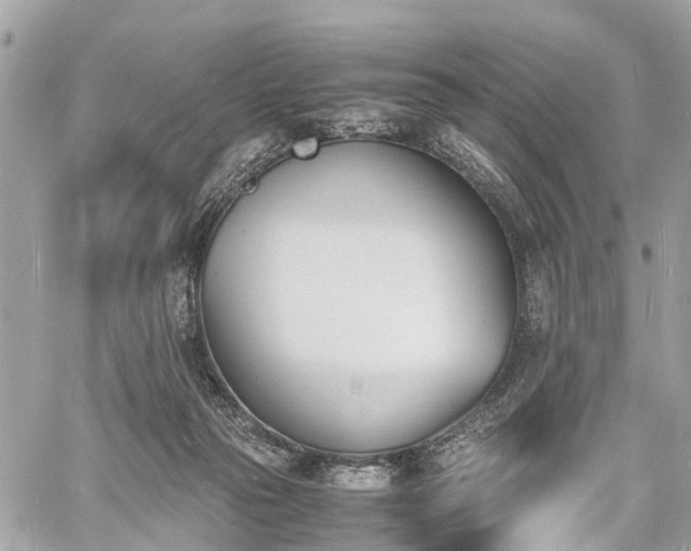 X0000060800169200511141449