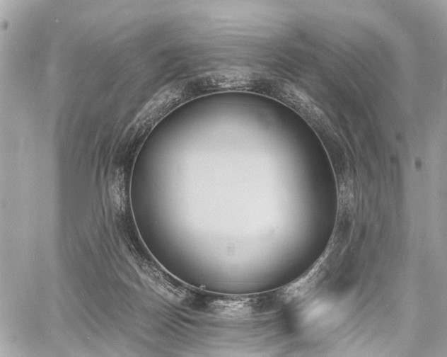 X0000060800170200511141449