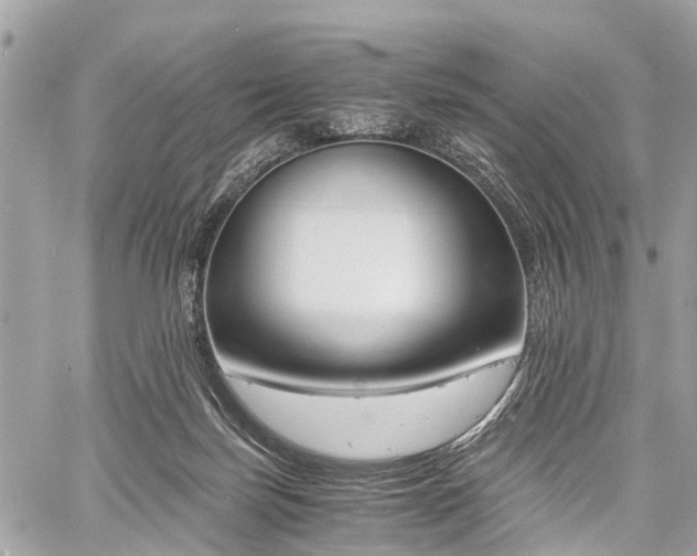 X0000060800171200511141449