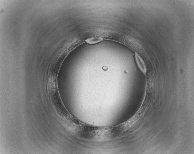 X0000060800172200511141449