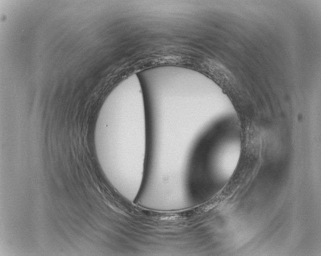 X0000060800173200511141449