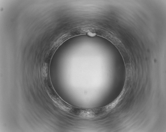 X0000060800174200511141449