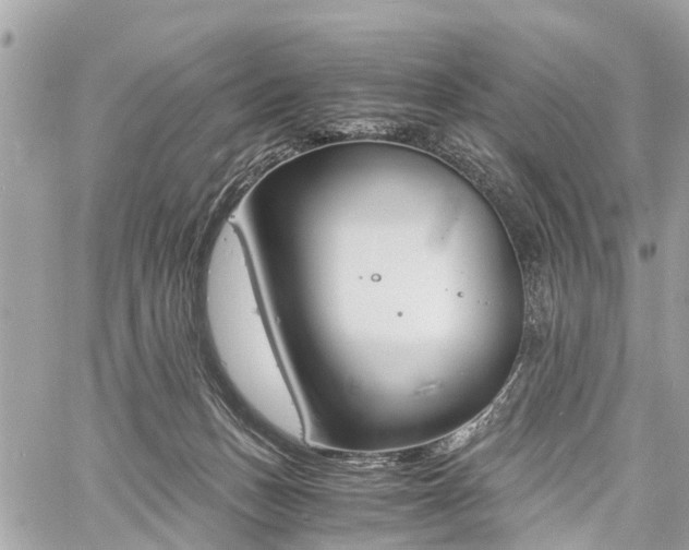 X0000060800175200511141449