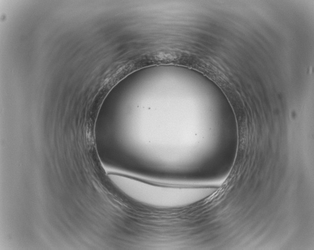 X0000060800176200511141449