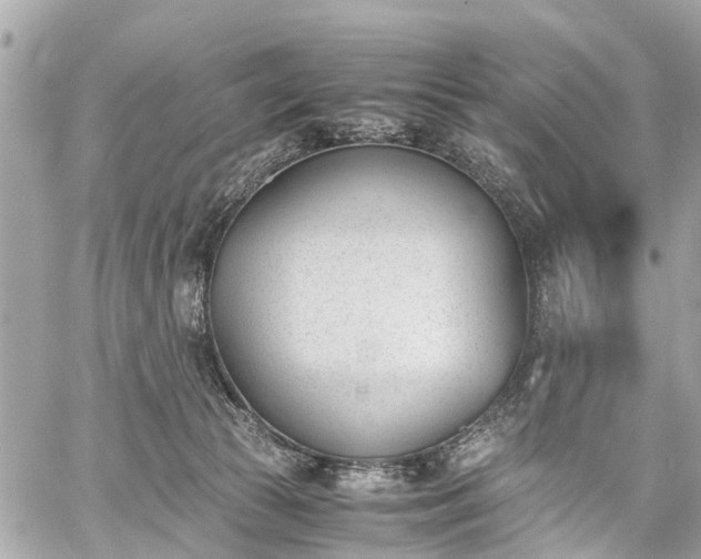 X0000060800177200511141449