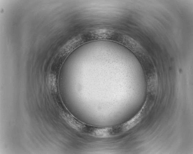 X0000060800178200511141449