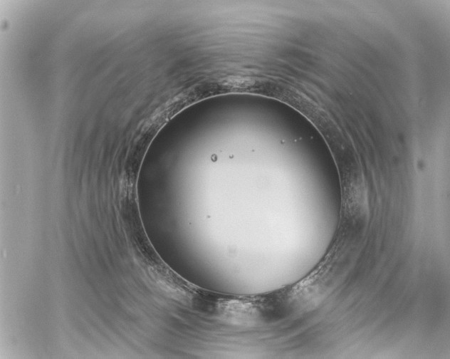 X0000060800180200511141449