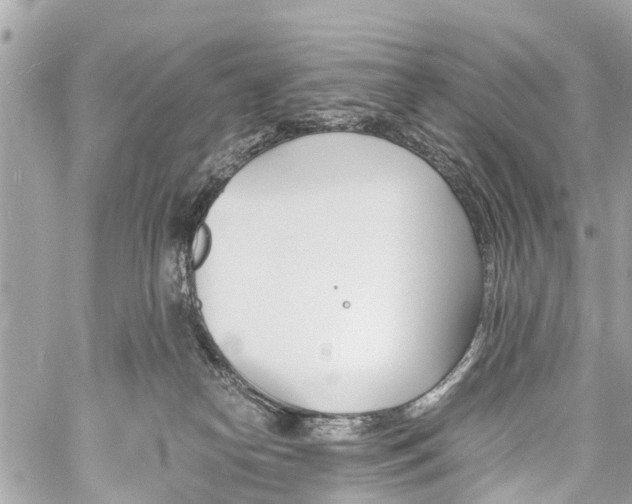 X0000060800182200511141449