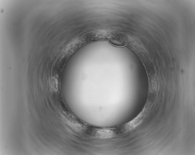 X0000060800183200511141449