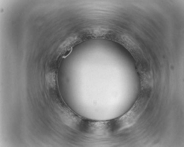 X0000060800184200511141449