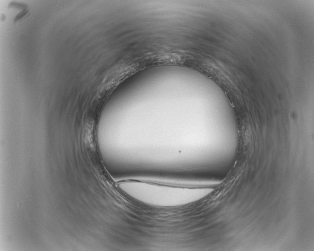 X0000060800185200511141449