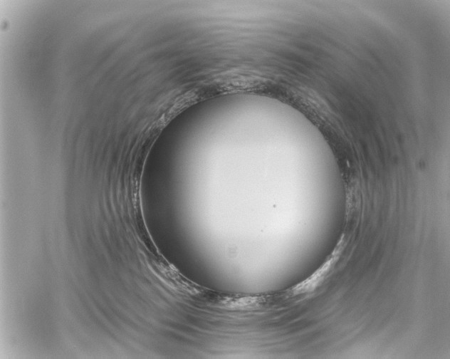 X0000060800186200511141449