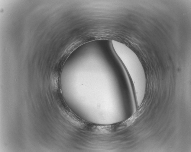 X0000060800188200511141449