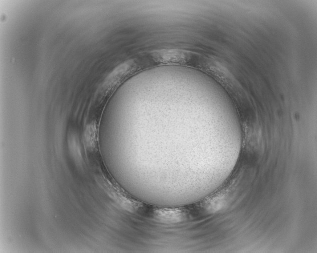 X0000060800189200511141449