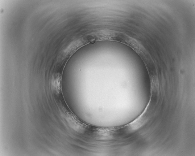 X0000060800190200511141449