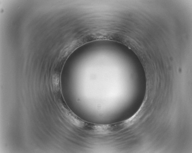 X0000060800192200511141450