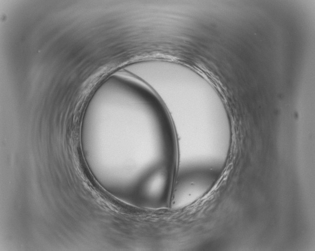 X0000060800193200511141449