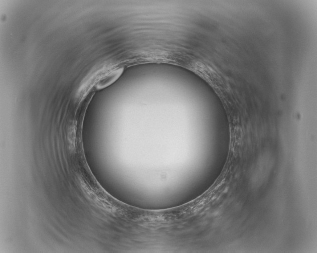 X0000060800194200511141449