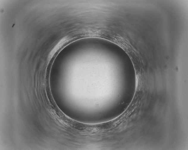 X0000060800195200511141449