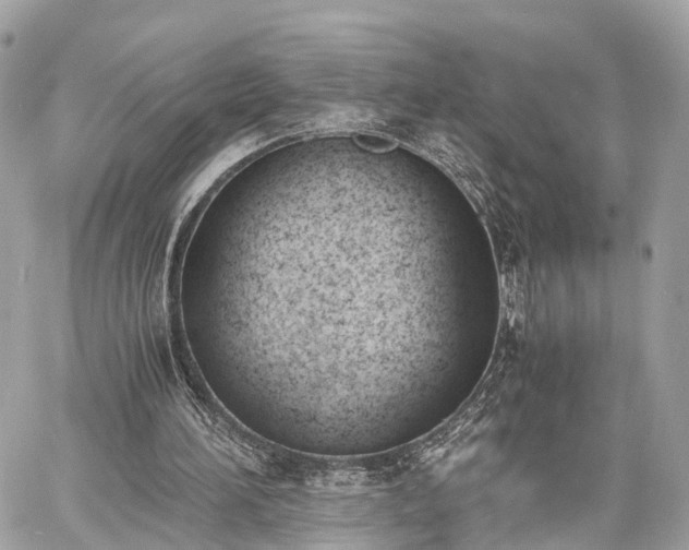 X0000060800196200511141449