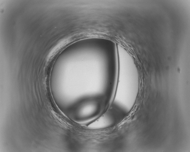 X0000060800197200511141449