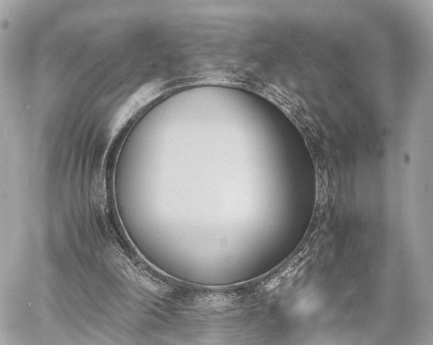 X0000060800198200511141449