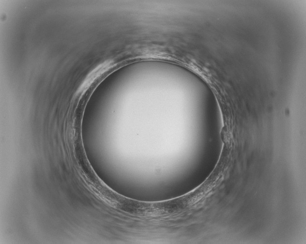 X0000060800199200511141449