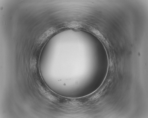 X0000060800201200511141449