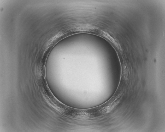 X0000060800203200511141449