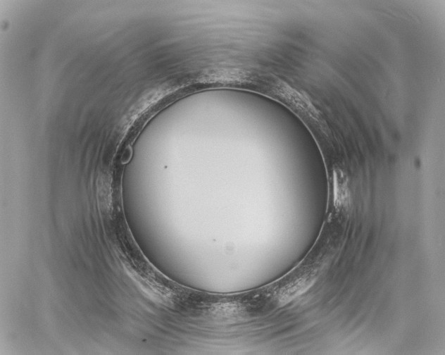 X0000060800204200511141449