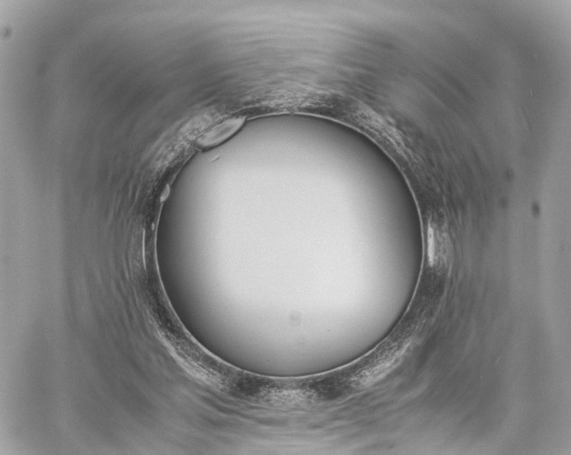 X0000060800205200511141449