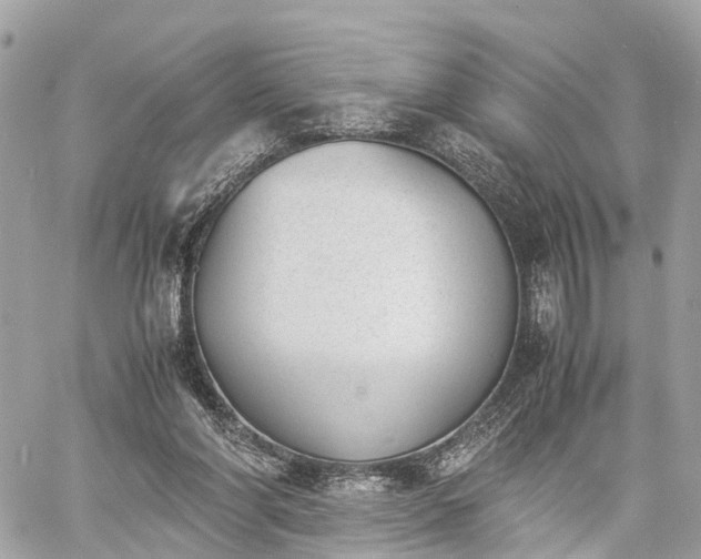 X0000060800206200511141448