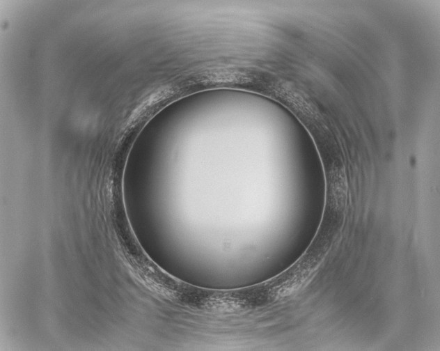 X0000060800207200511141448